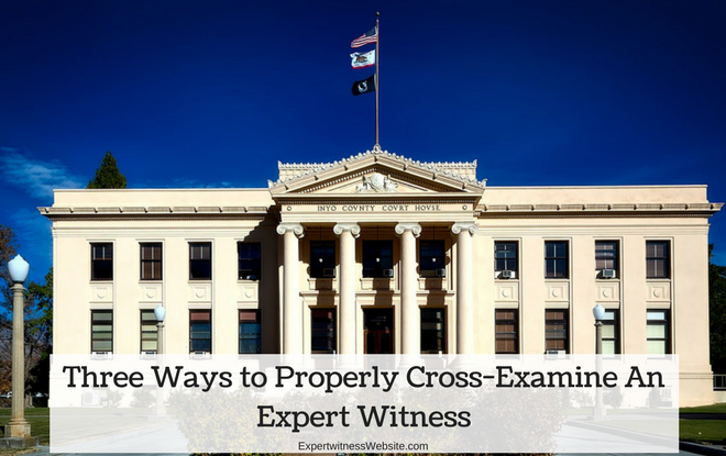 expert witness